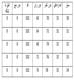 شلوار نیم بگ کد 23322