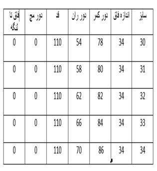 نیم بگ کد 23810