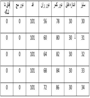 نیم بگ کد 1257