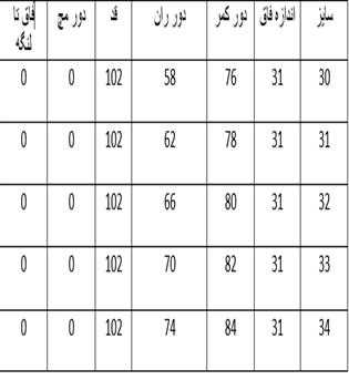 نیم بگ کد 1255